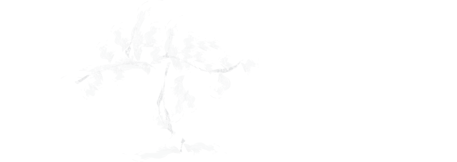 Vino Gaudium